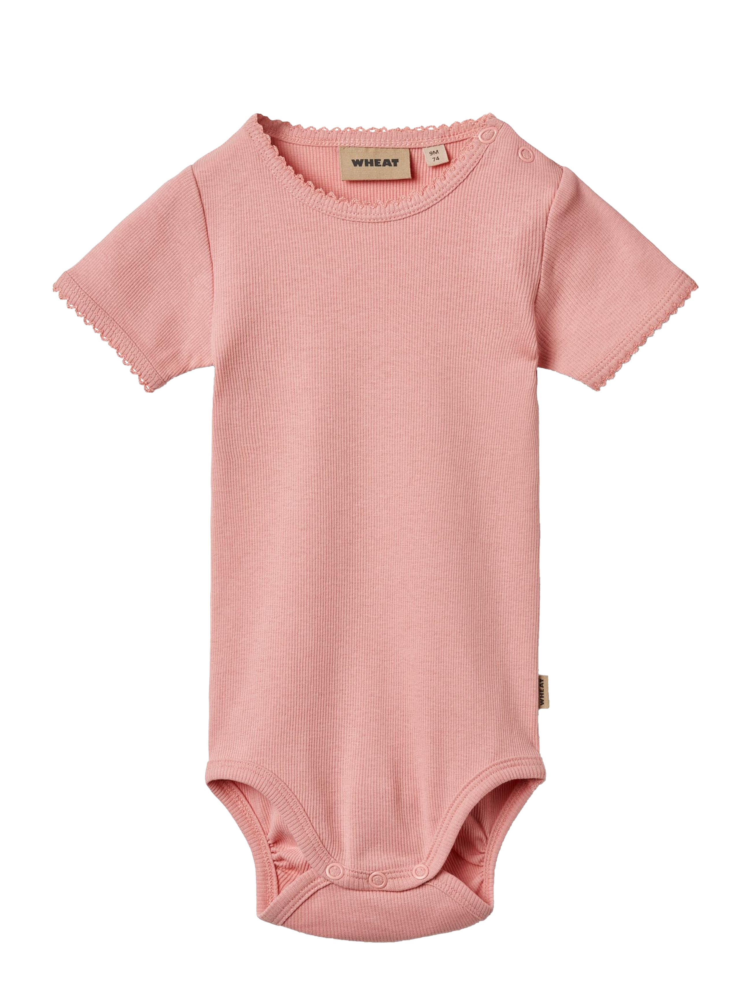 Wheat Rib Body S/S Lace Elisa - Bodid - ROSE / pink/rose