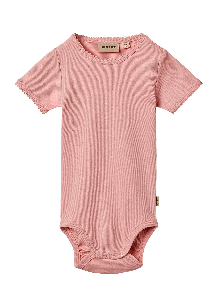 Wheat - Rib Body S/S Lace Elisa - body z krótkimi rękawami - rose - 0