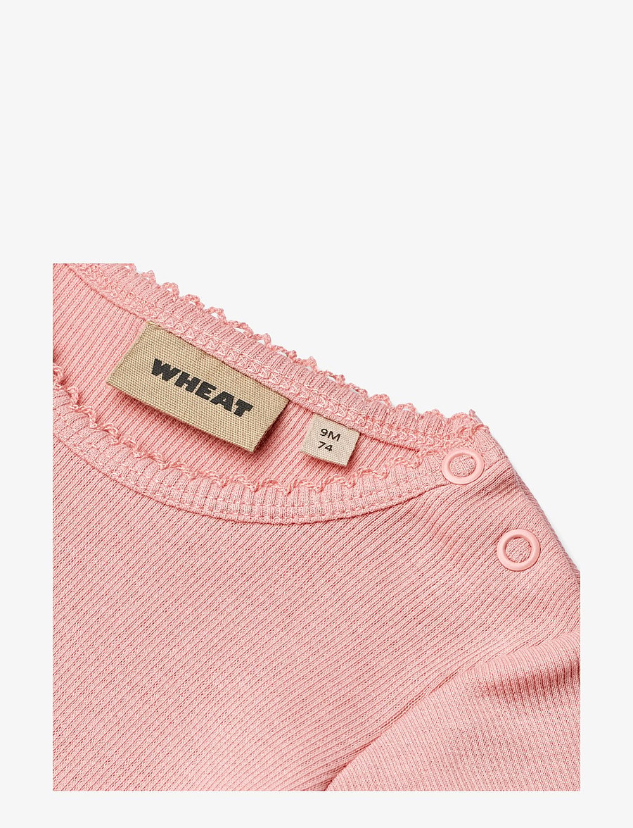 Wheat - Rib Body S/S Lace Elisa - body z krótkimi rękawami - rose - 2