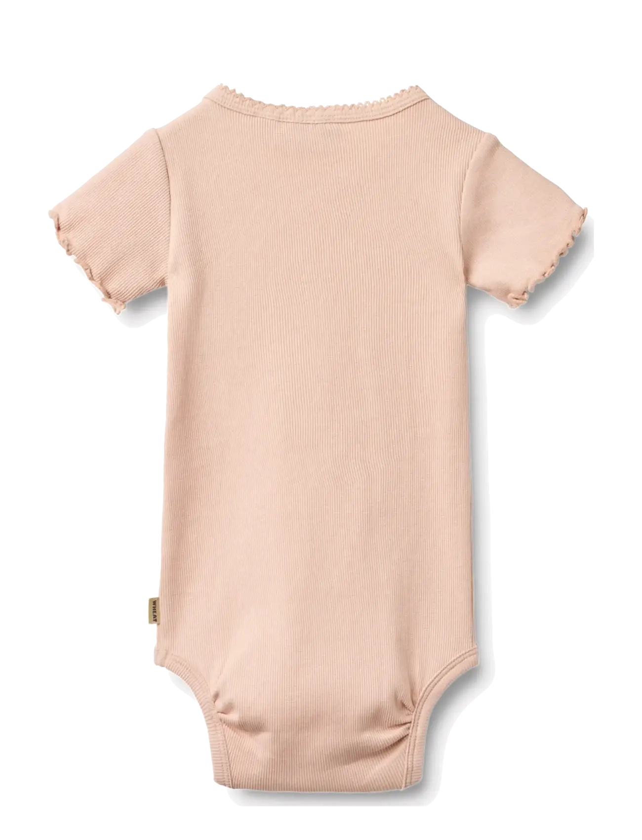 Wheat - Body S/S Maren - kurzärmelige bodys - powder - 1