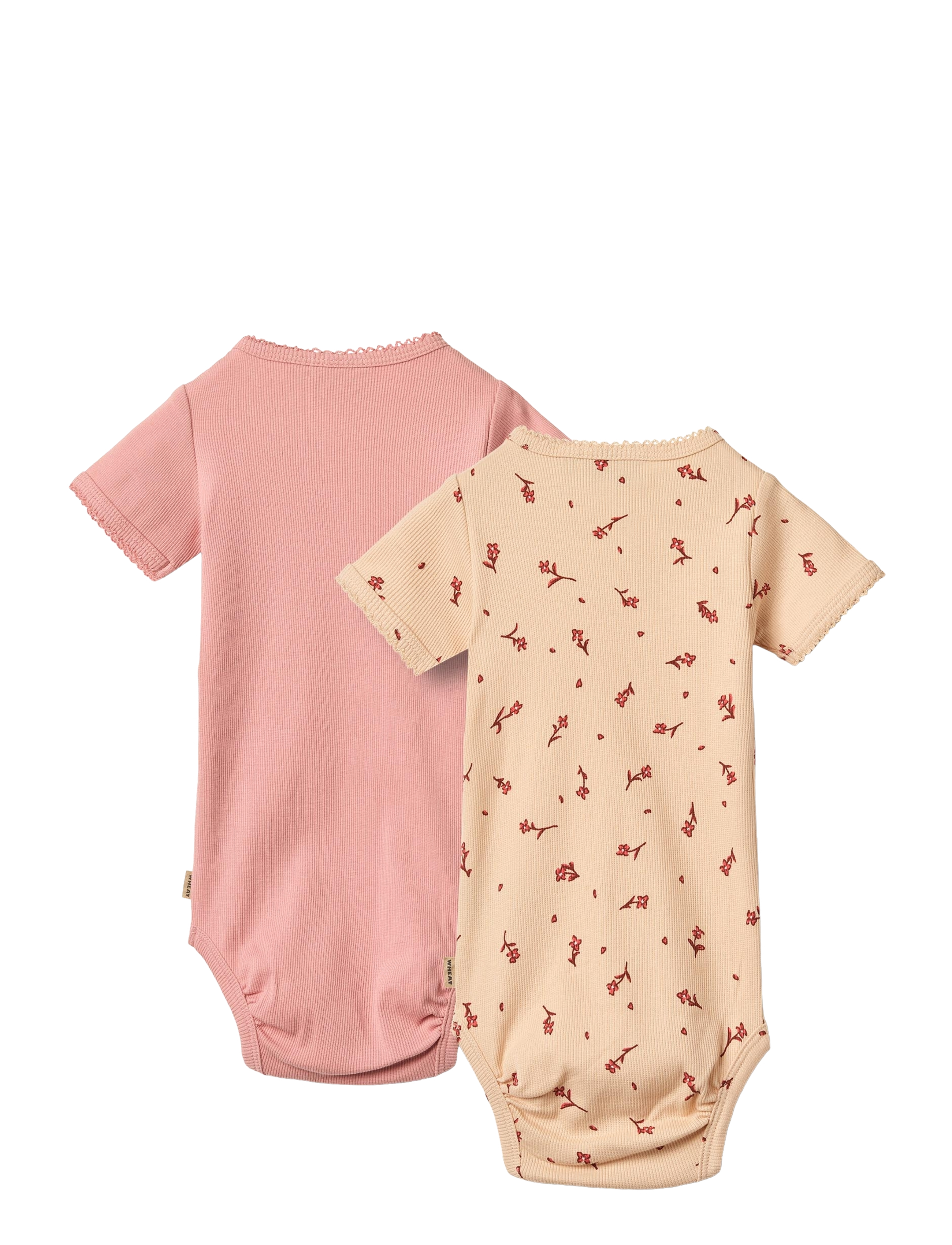 Wheat - 2 Body S/S Elisa - rose water flowers - 1