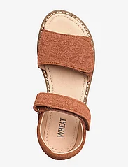 Wheat - Tasha sandal - sommarfynd - amber brown - 3