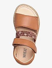 Wheat - Taysom sandal - summer savings - amber brown - 3
