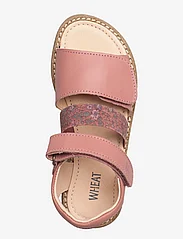 Wheat - Taysom sandal - summer savings - cameo blush - 3