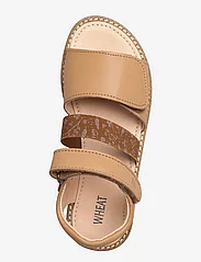 Wheat - Taysom sandal - sommarfynd - cartouche brown - 3