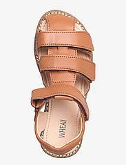 Wheat - Addison leather sandal - gode sommertilbud - amber brown - 3