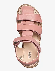 Wheat - Addison leather sandal - summer savings - cameo blush - 3