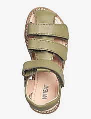 Wheat - Addison leather sandal - summer savings - heather green - 3