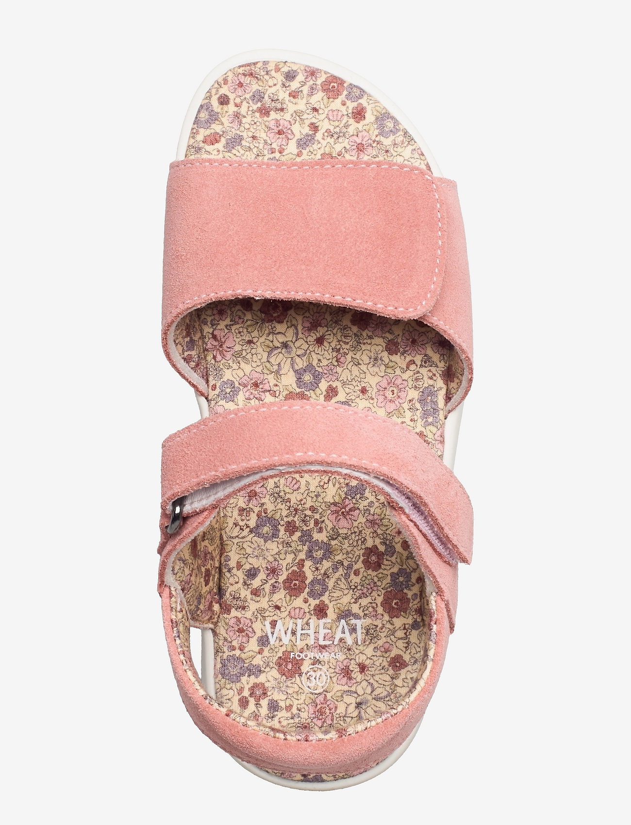 Wheat - Shay sandal - cameo blush - 3
