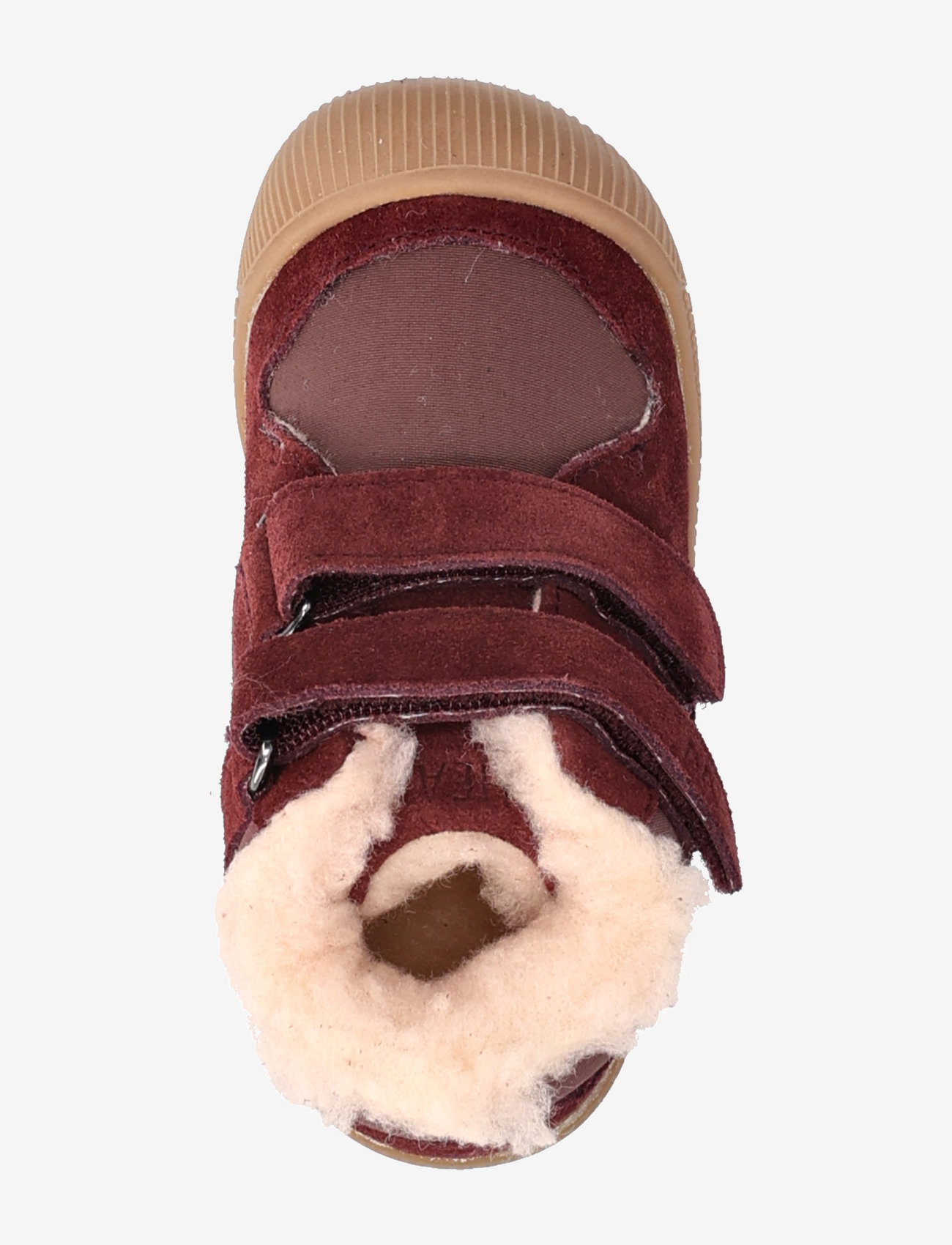 Wheat - Billi Low Winter - eggplant - 3