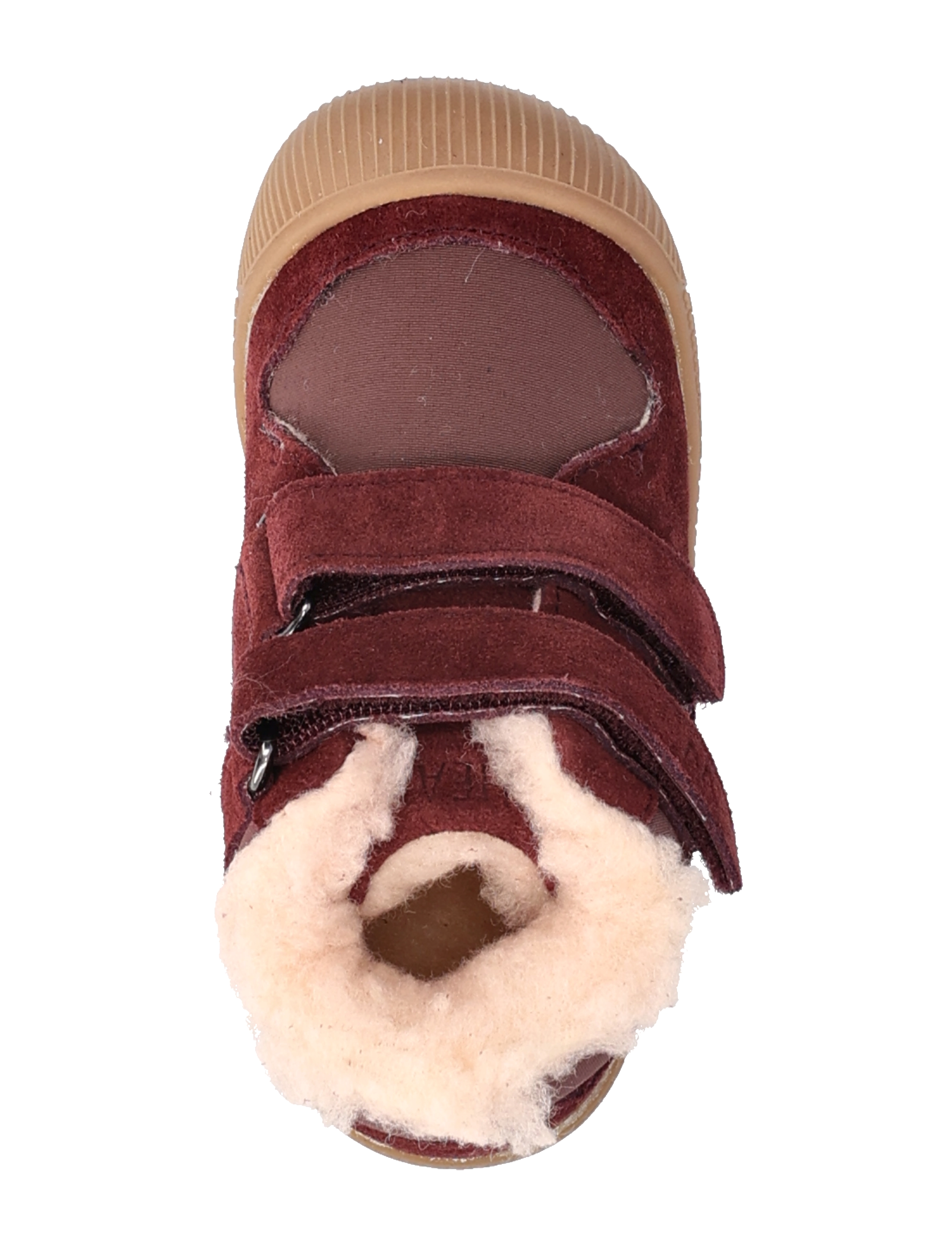 Wheat - Billi Low Winter - eggplant - 3