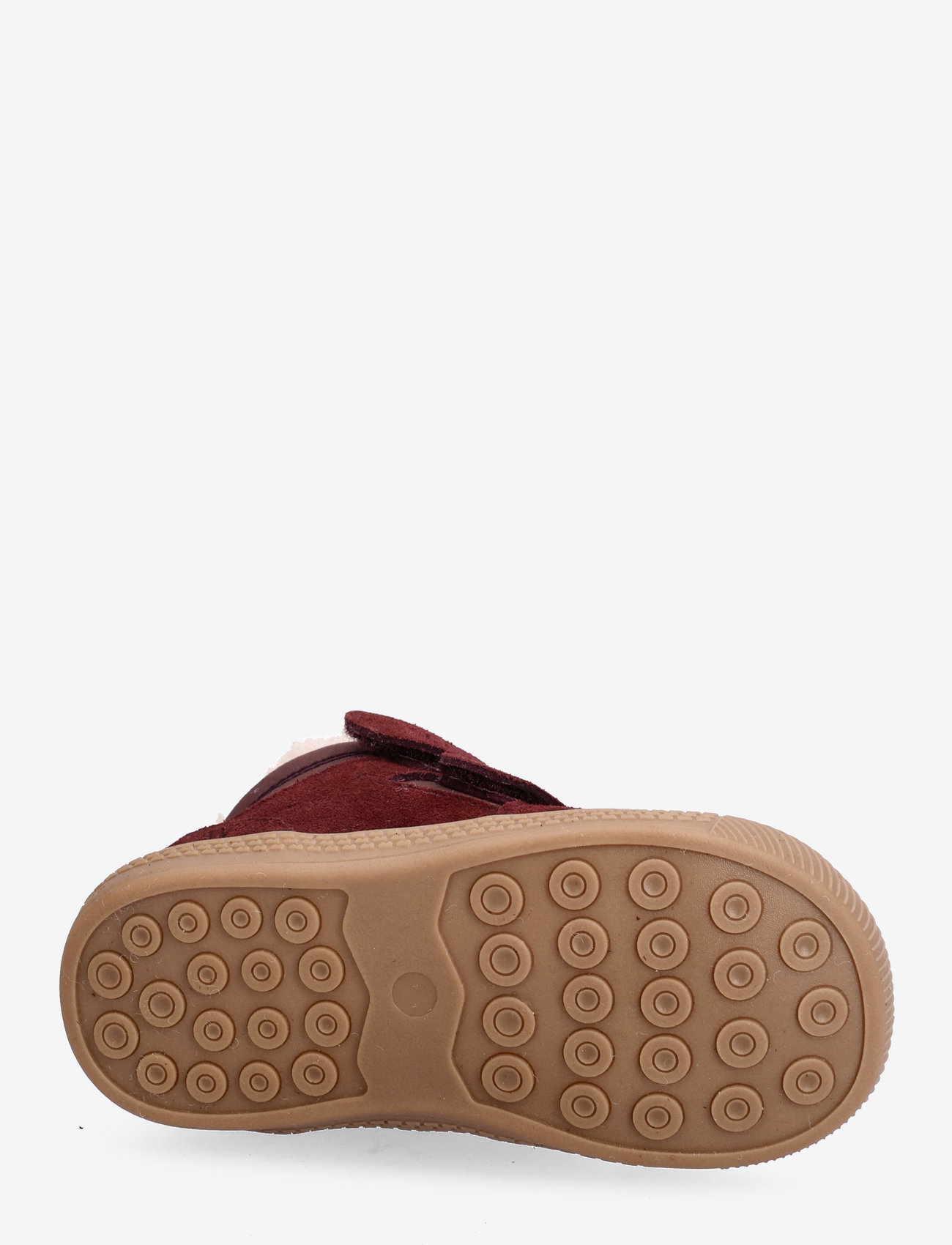 Wheat - Billi Low Winter - eggplant - 4