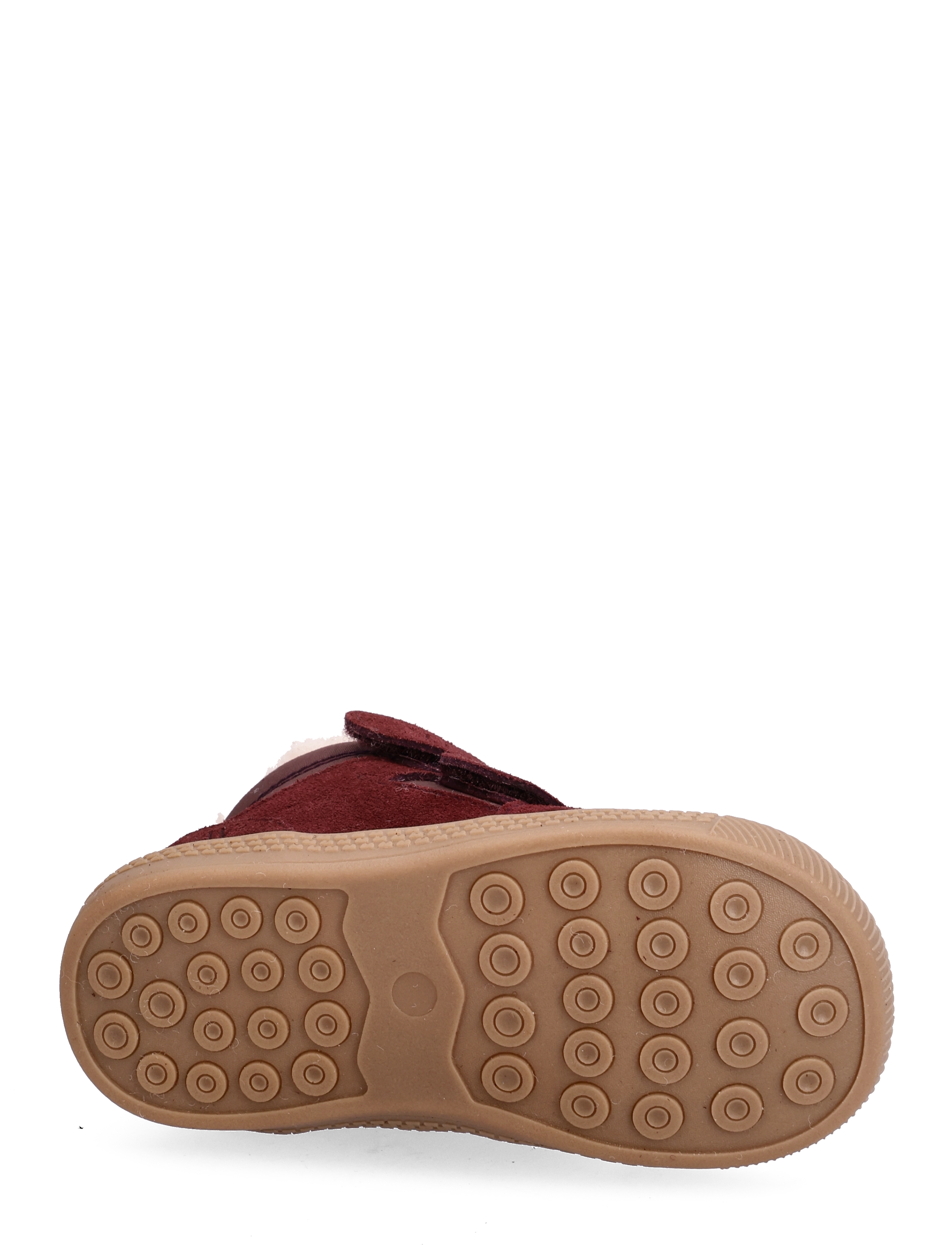 Wheat - Billi Low Winter - eggplant - 4