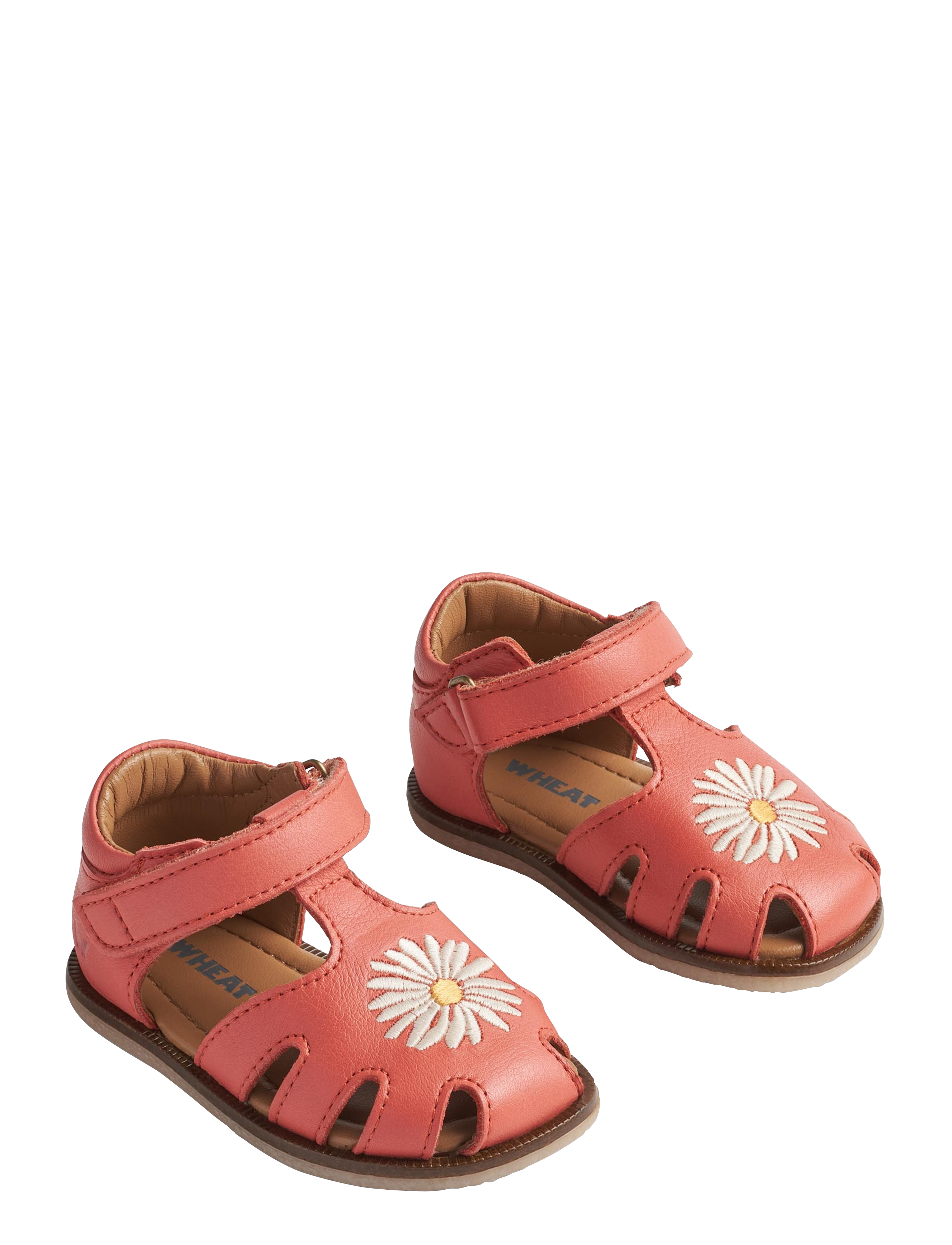 CORAL