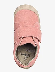Wheat - Kei Velcro - rose - 3
