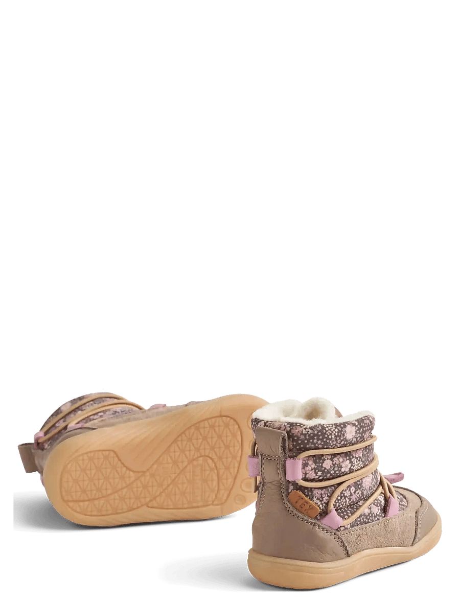 Wheat - Winterboot Milan Tex - dry wood snow flowers - 1