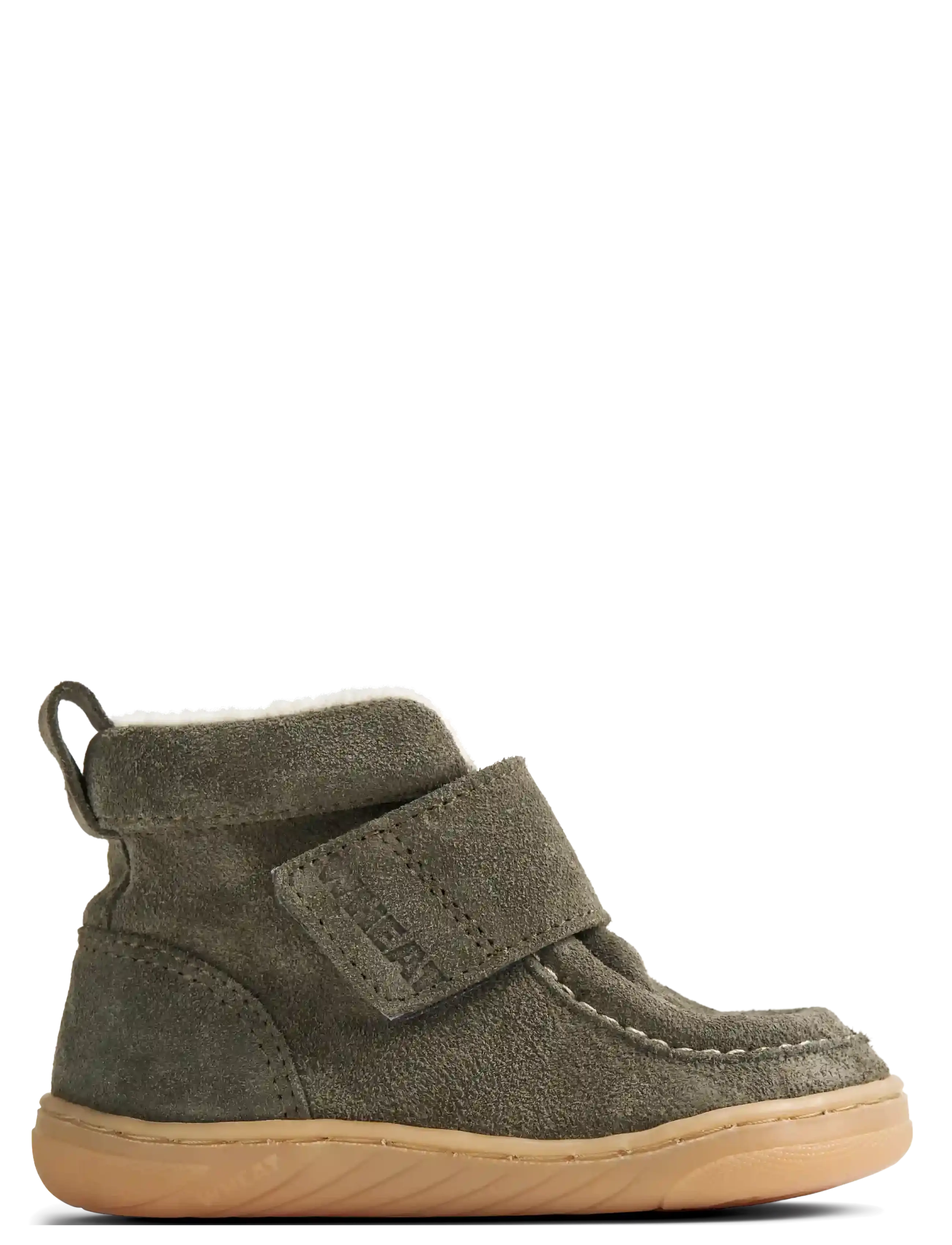 Wheat - Bootie Obira - dry leaves - 2