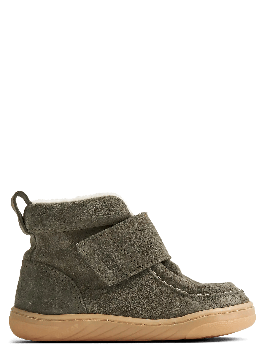 Wheat - Bootie Obira - dry leaves - 2