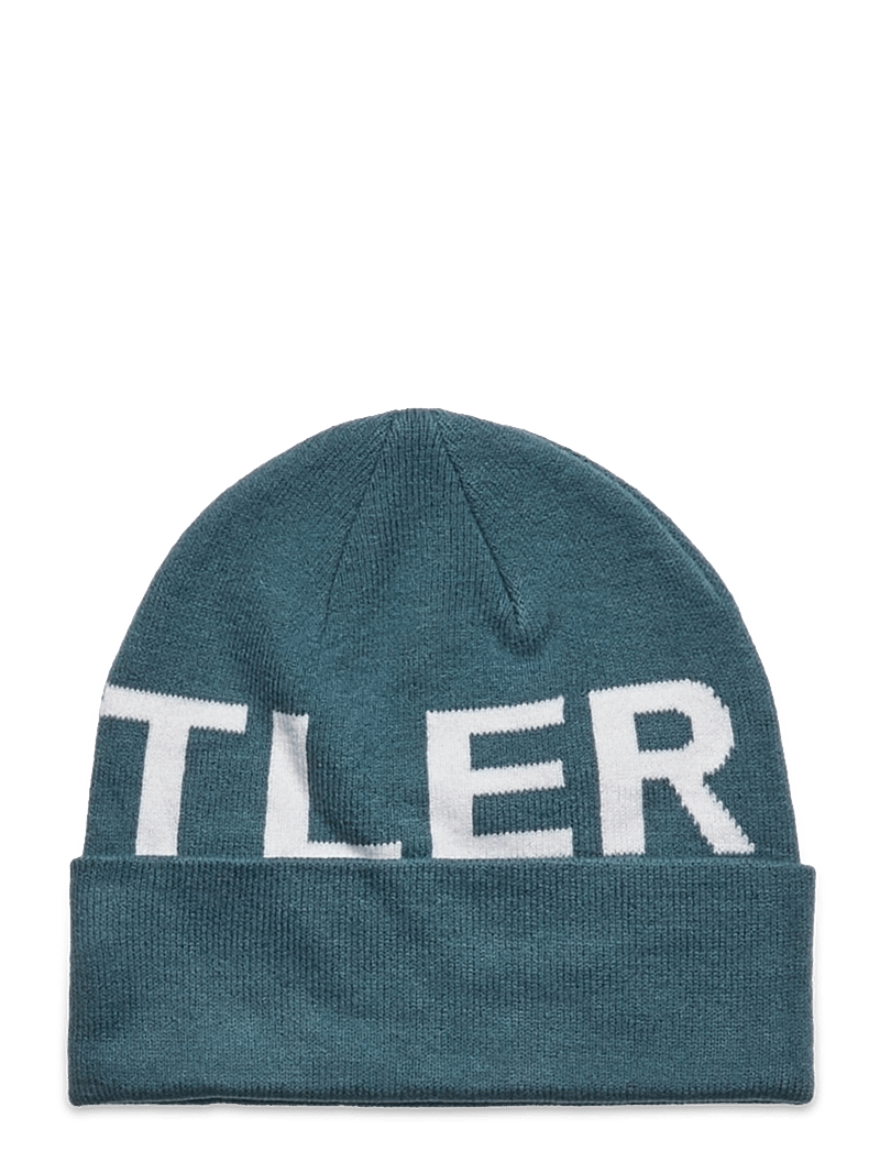 Whistler - Remee Unisex Beanie - bonnets - hydro - 2