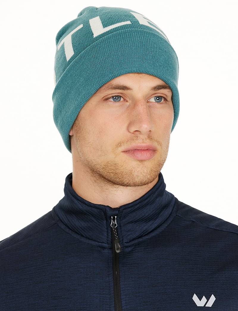 Whistler - Remee Unisex Beanie - bonnets - hydro - 4