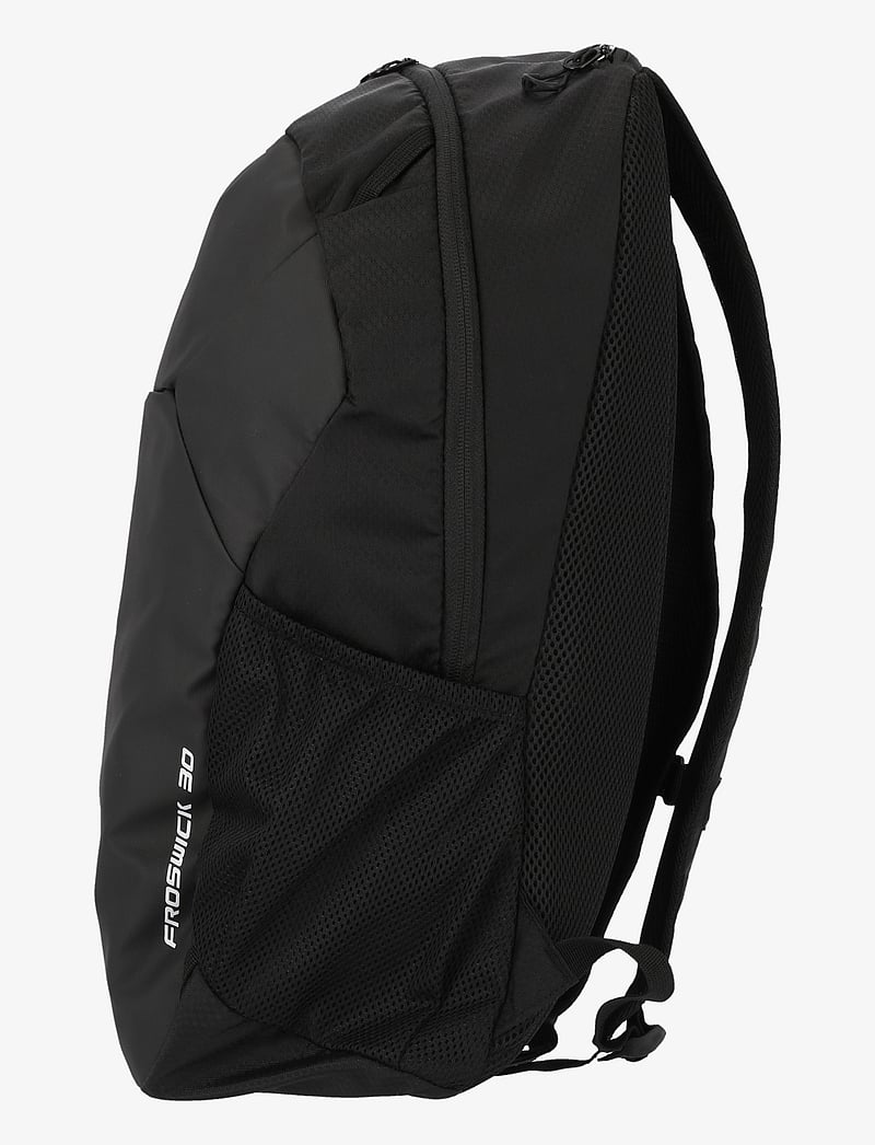 Whistler - Froswick 30L Backpack - sporta mugursomas - black - 2