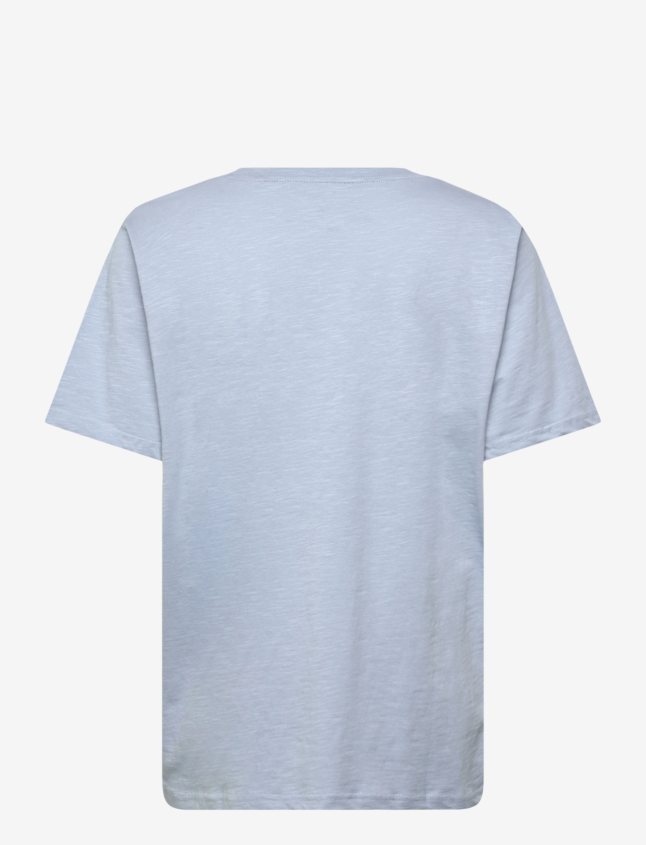 Whistler - Hockley W Printed Tee - t-shirts - dusty blue - 2