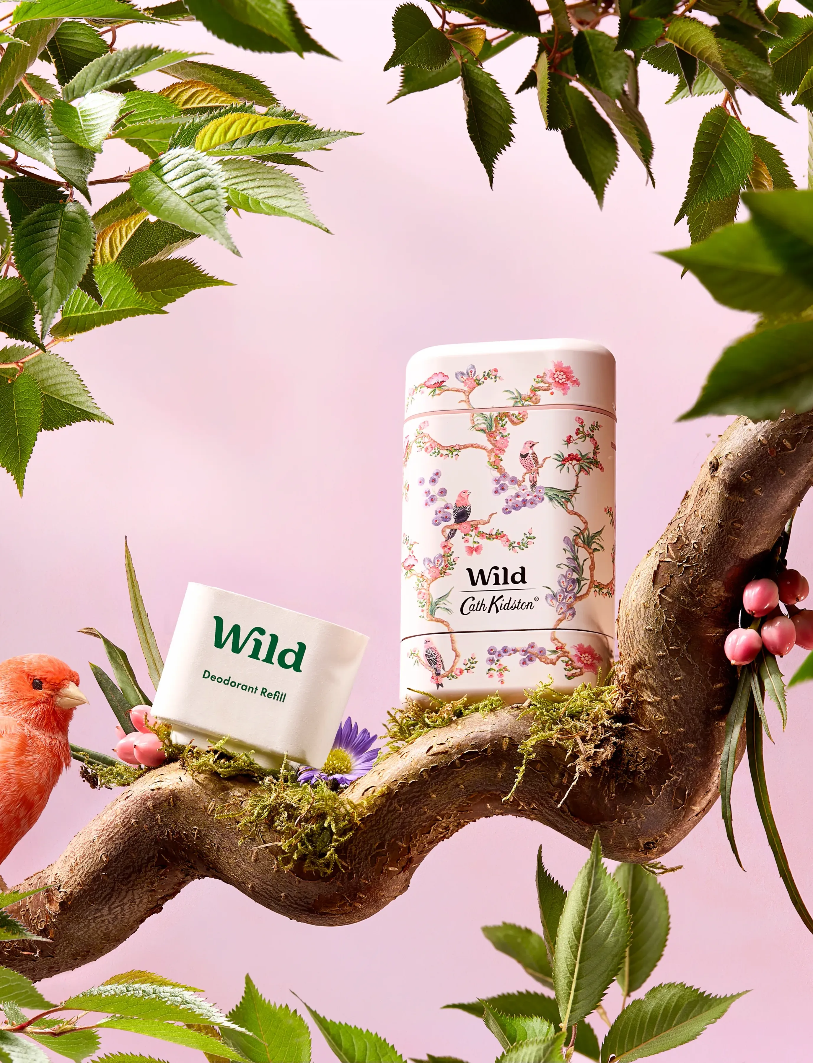 Wild Wild Deo Stick Birds Berries Case Cherry Blossom, 40 GR, Nude, Creams & Wipes, Creams & Wipes, Dame
