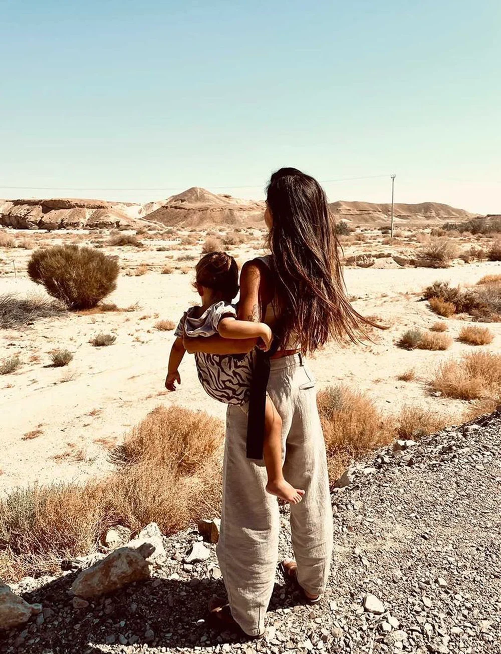 Wildride - Wildride - Zebra - bärselar & bärsjalar - zebra - 3