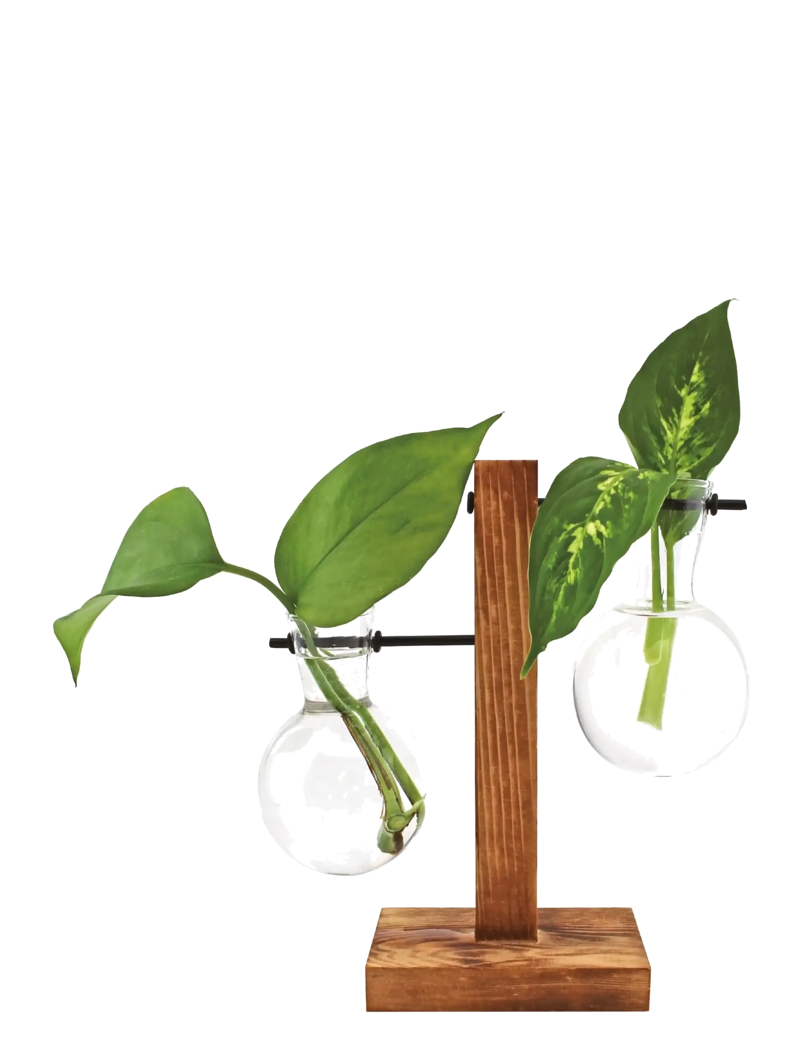 Winkee Vase Hydro Vases Fleur, Vase, Brun, Str: H8CM