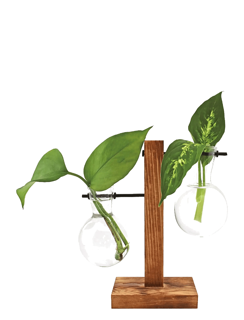 Winkee - Hydro Vases Fleur - vaasid - brown - 1