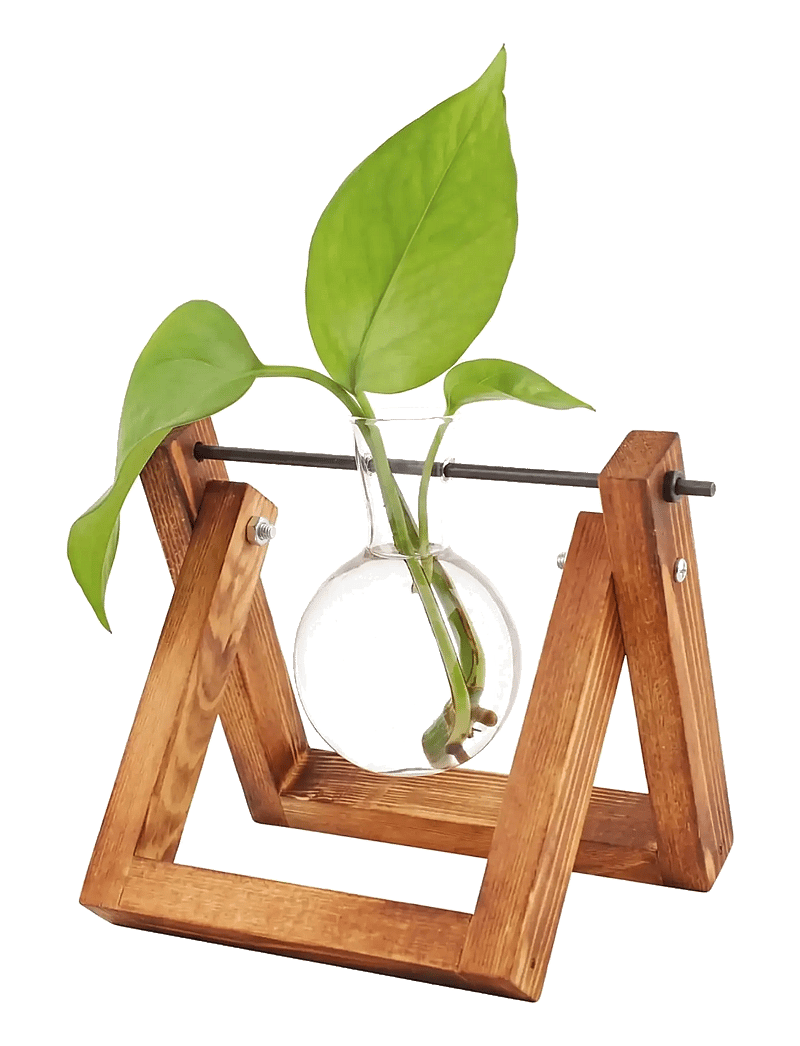 Winkee - Hydro Vases Lilly - vaasid - brown - 2