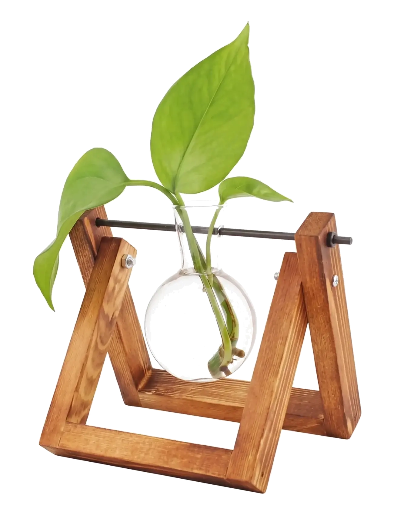 Winkee - Hydro Vases Lilly - vazos - brown - 2