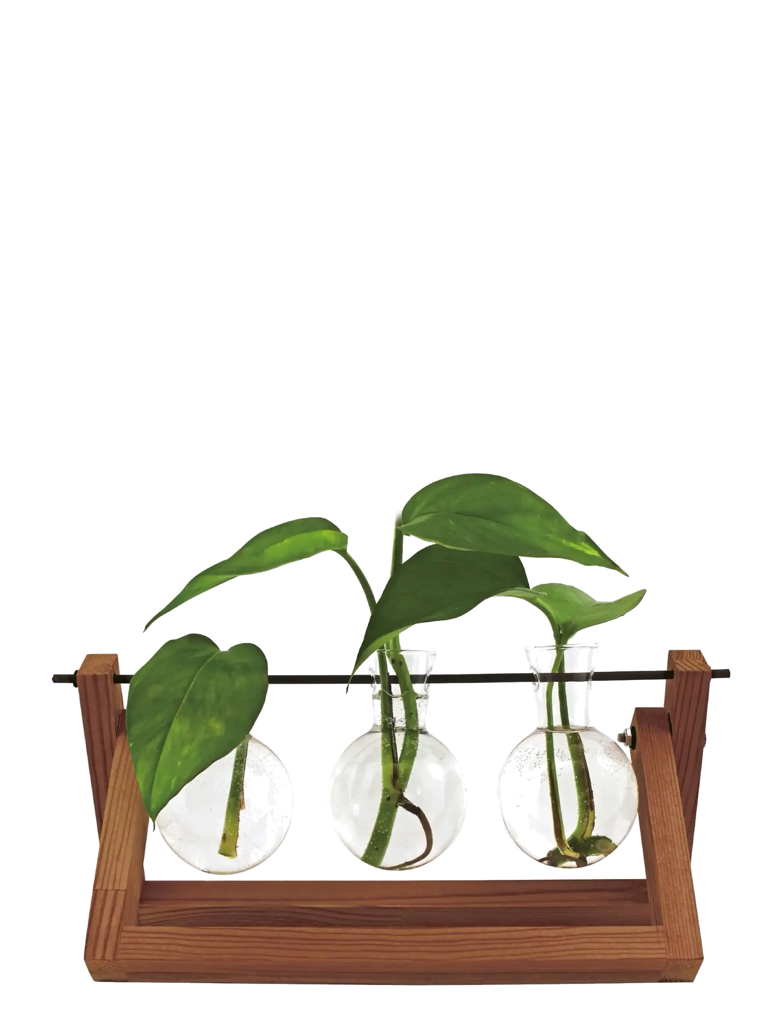 Winkee Vase Hydro Vases Blossom, H8 cm, Vases, Braun - Other Homeware