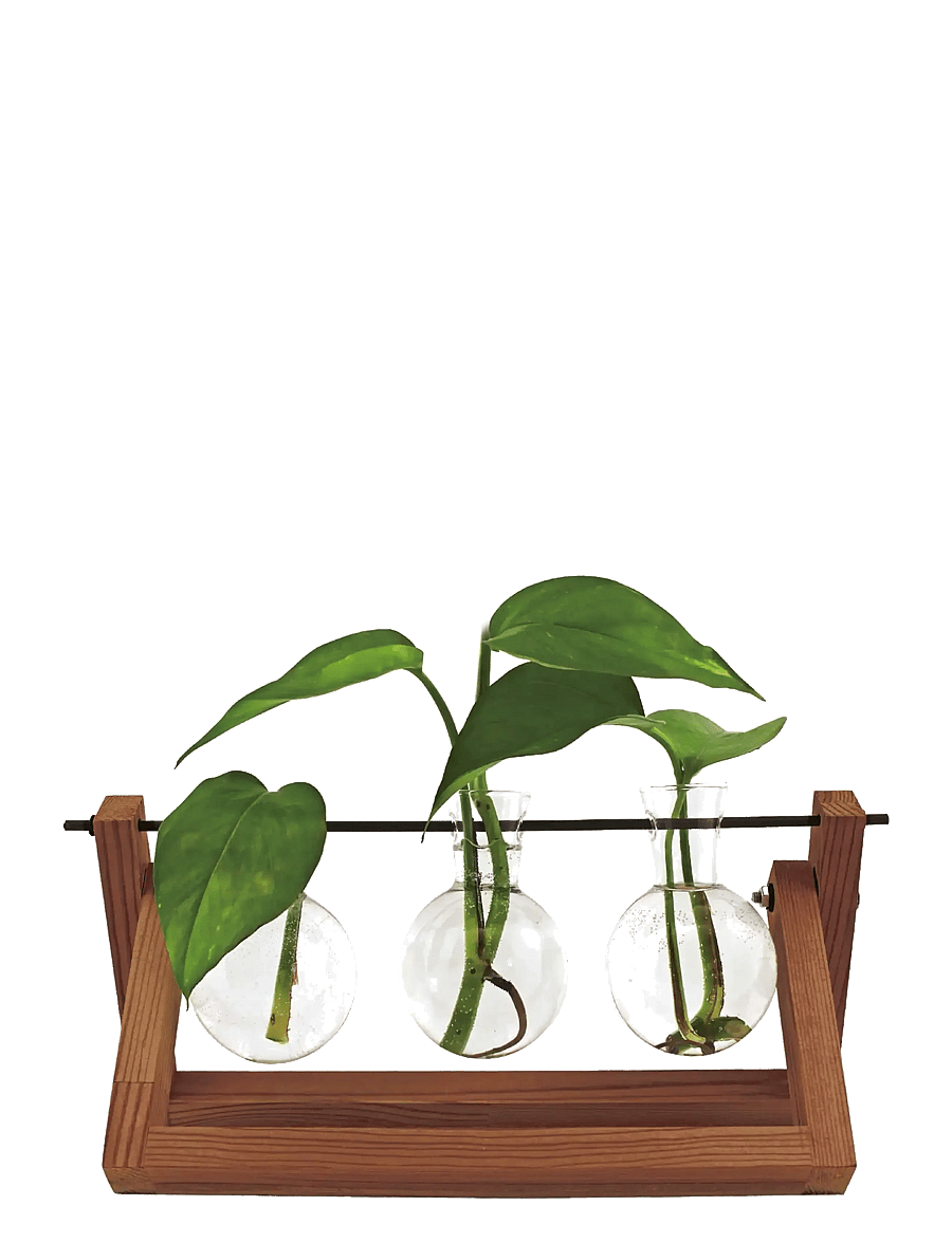 Winkee - Hydro Vases Blossom - vaasid - brown - 0