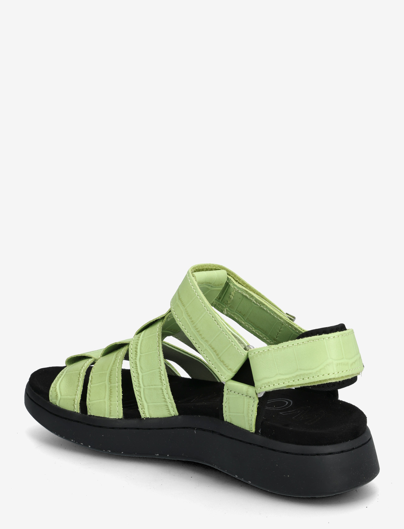 WODEN - Isabell Fisherman - gladiatorsandaler - matcha - 2