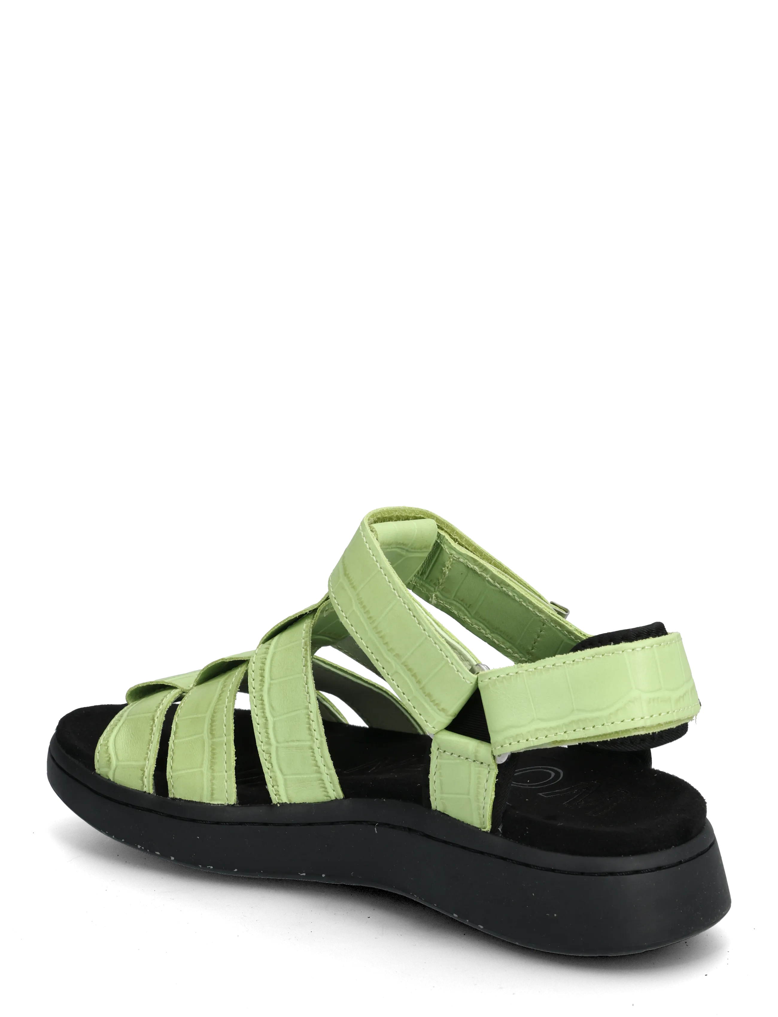 WODEN - Isabell Fisherman - gladiatorsandaler - matcha - 2
