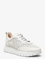 Wonders - CAIRO - lave sneakers - wild off - 0