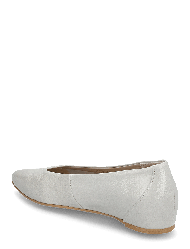 Wonders - TRIANA 02 - speciella tillfällen - off - 2