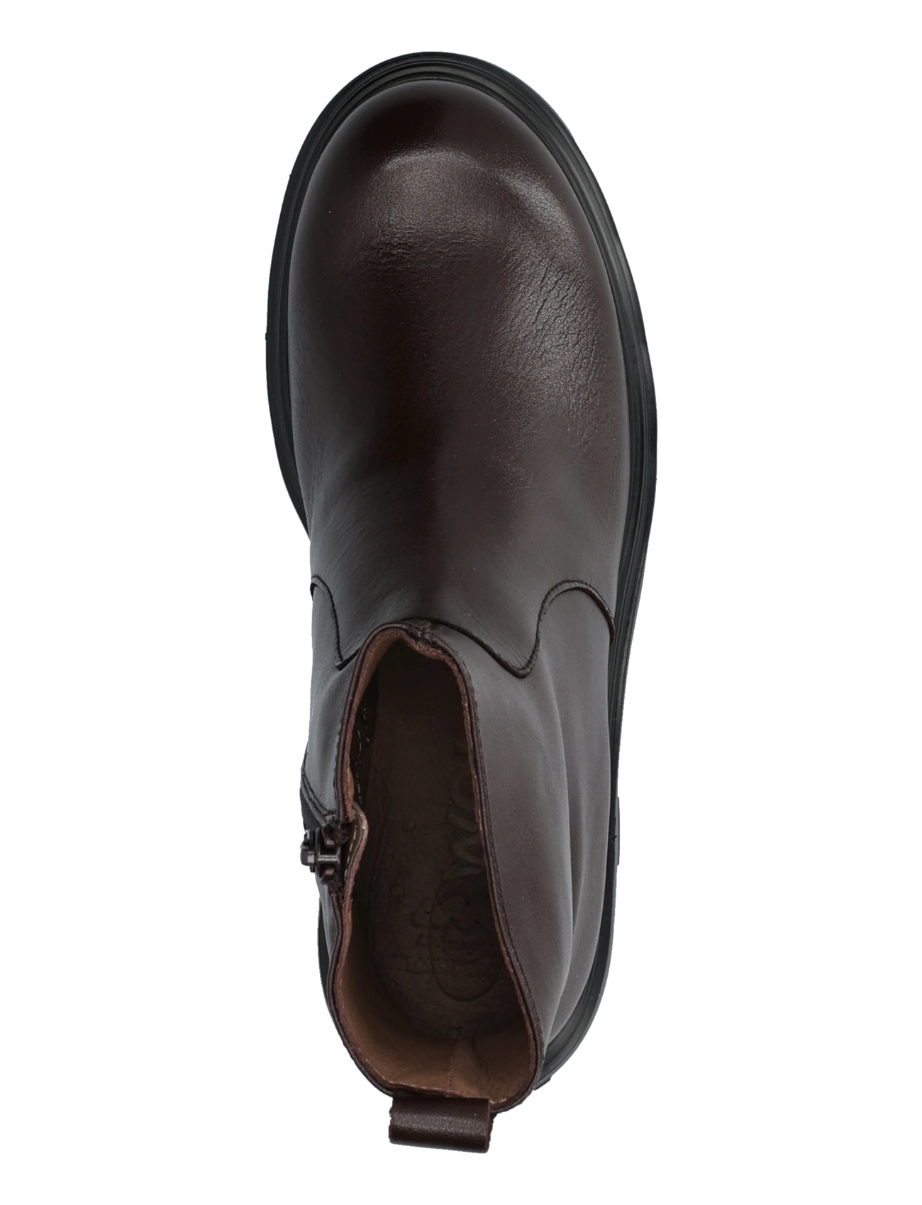 Wonders - BONES 05 - flache stiefeletten - alice testa - 3