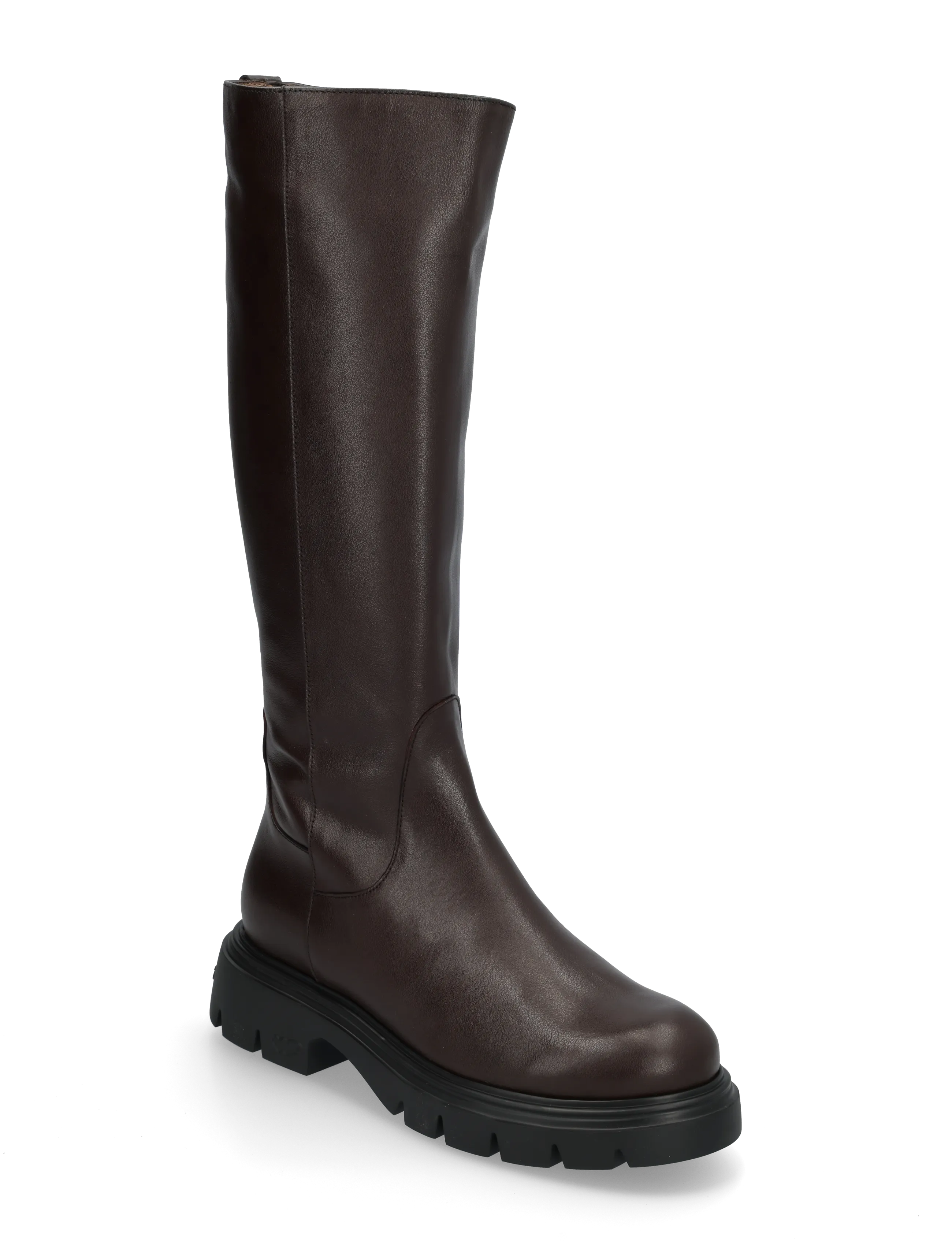 Wonders BONES 17 - Kniehohe Stiefel - ALICE TESTA / brown