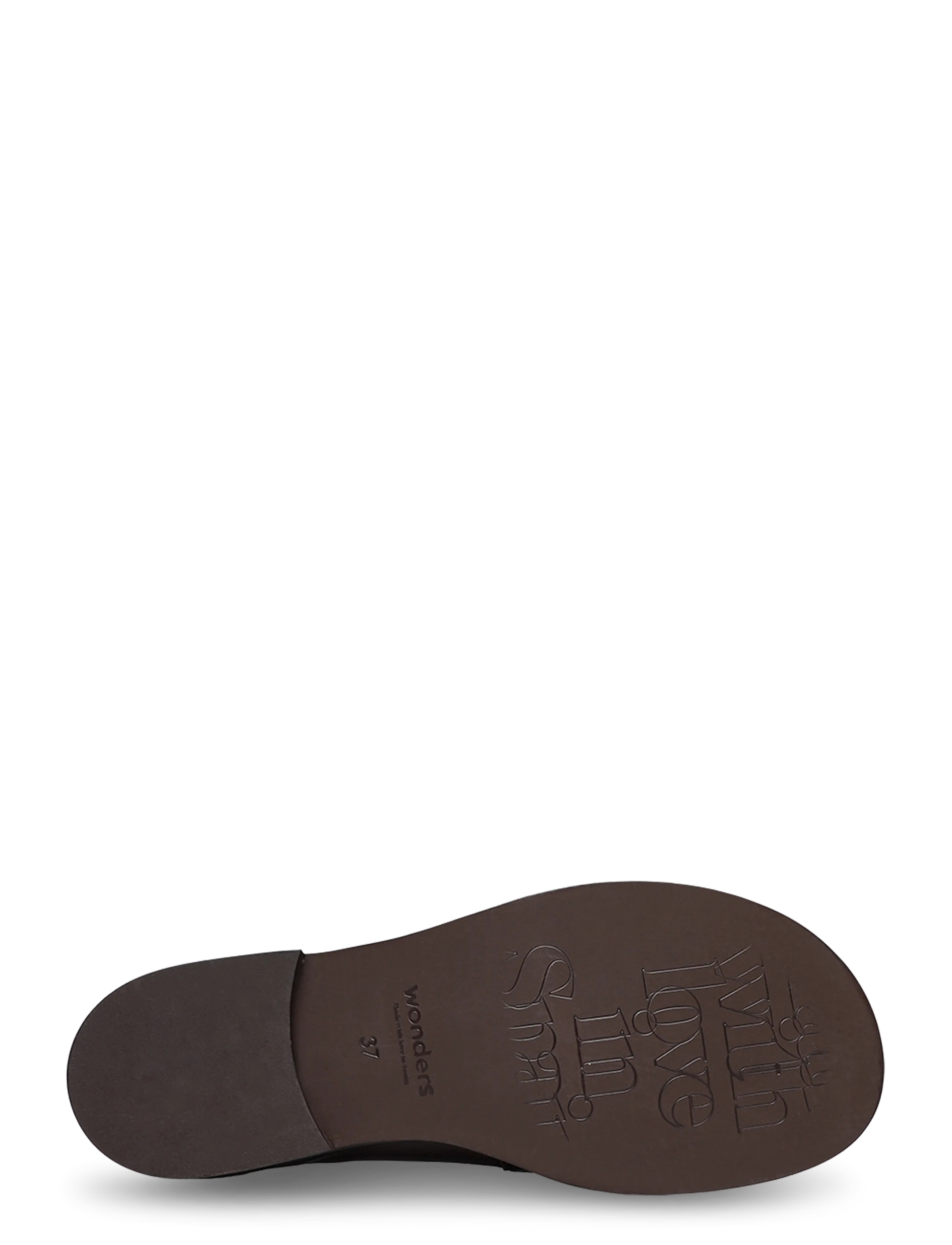 Wonders - CORO 20 - moetrendid - oregonlux testa - 4