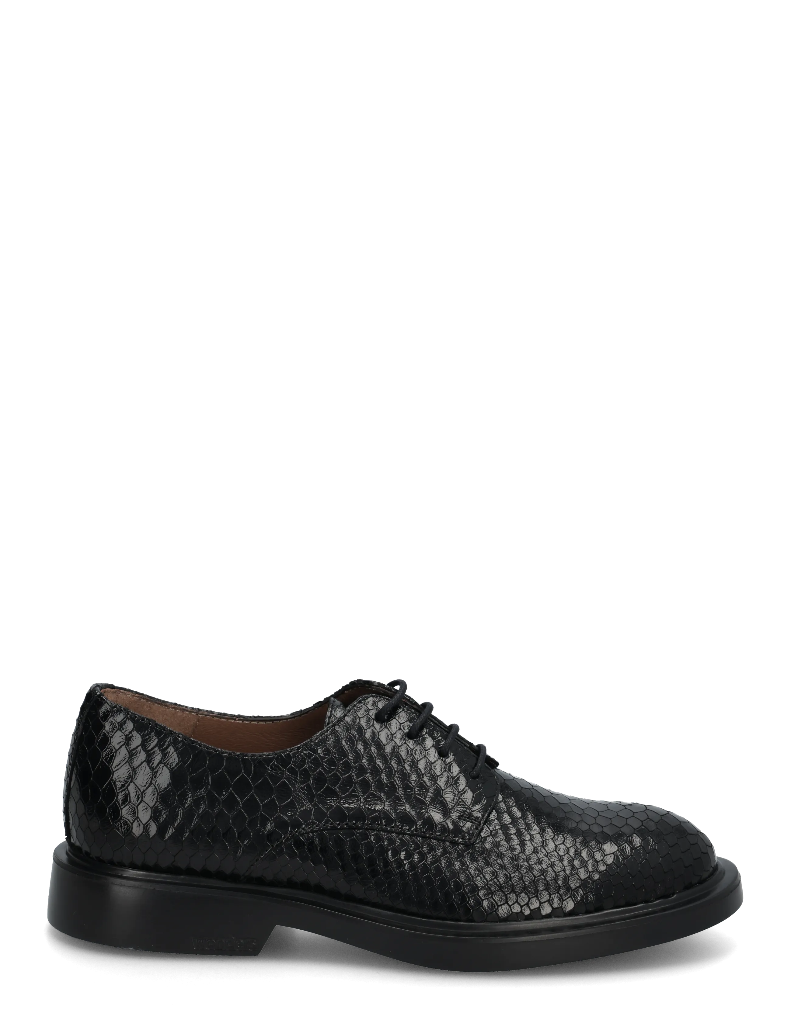 Wonders - PENNY 04 - modetrends - dolmen negro - 2