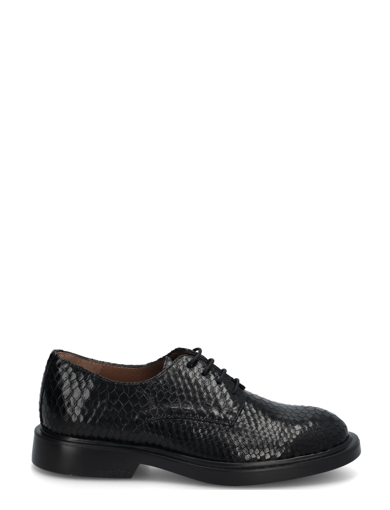 Wonders - PENNY 04 - modetrends - dolmen negro - 2