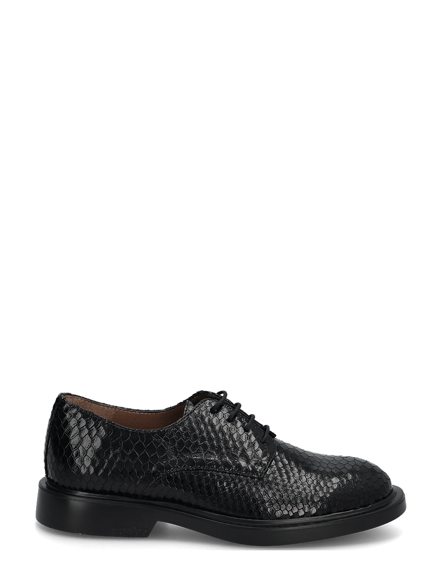 Wonders - PENNY 04 - modetrends - dolmen negro - 2