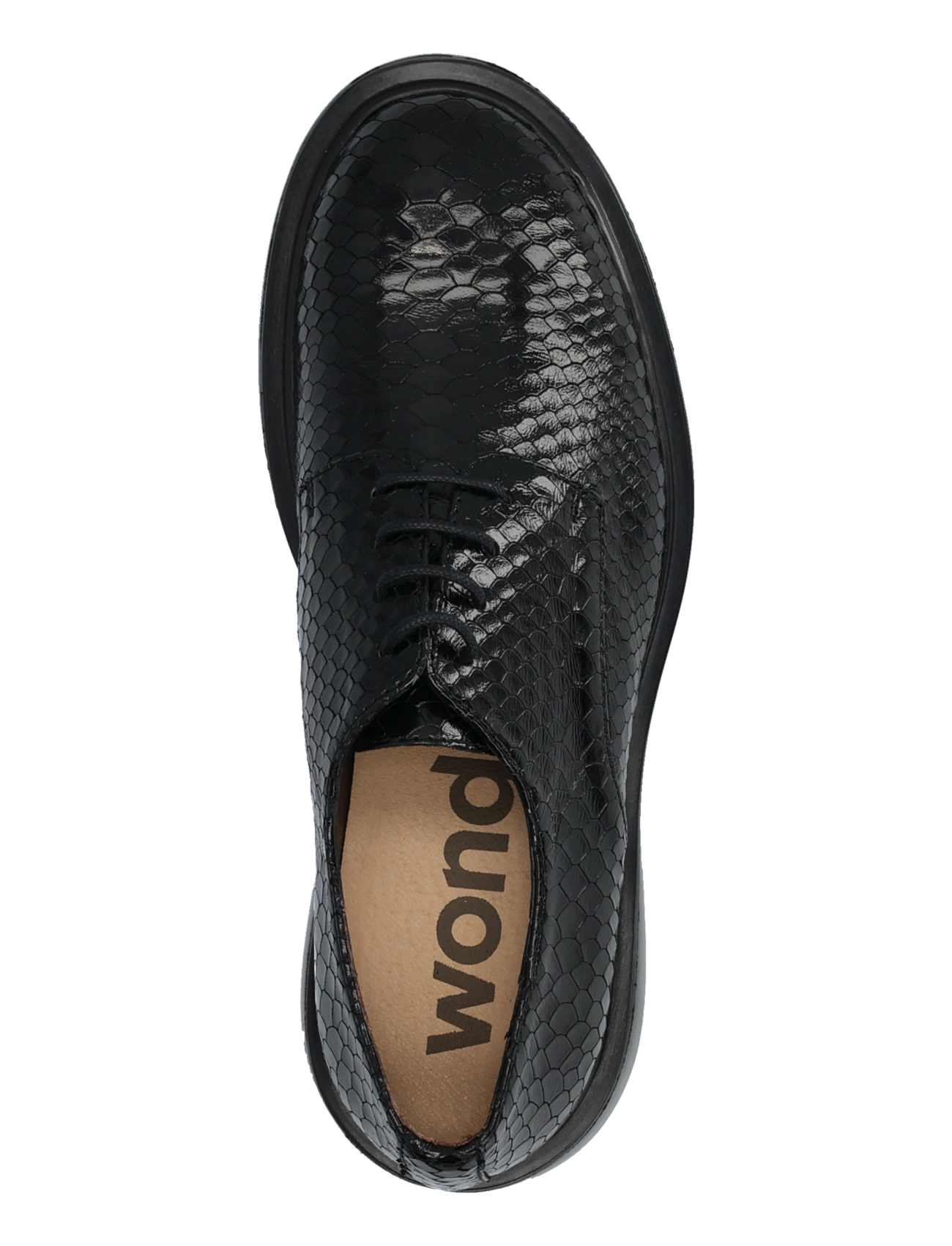 Wonders - PENNY 04 - modetrends - dolmen negro - 3