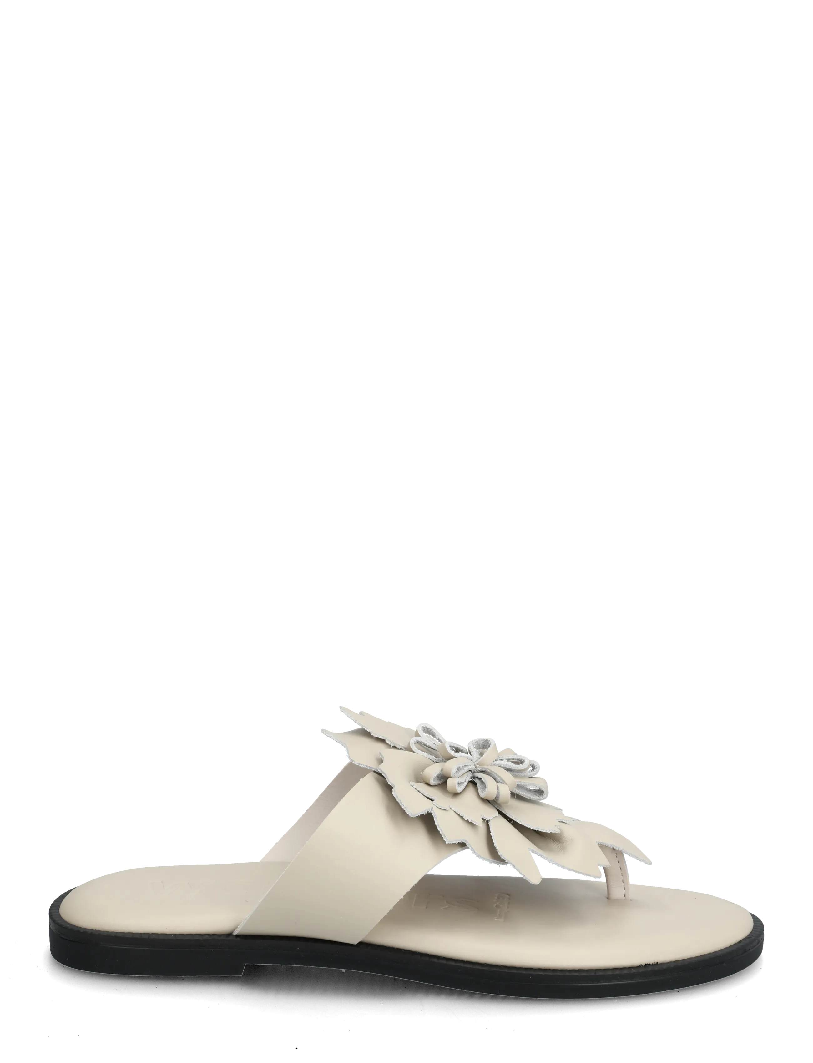 Wonders - MUSA 87K - flat sandals - latte m - 1
