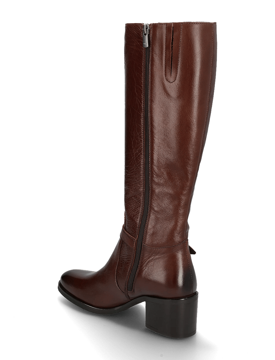 Wonders - RUNE 76 - kniehohe stiefel - tris kestane - 1