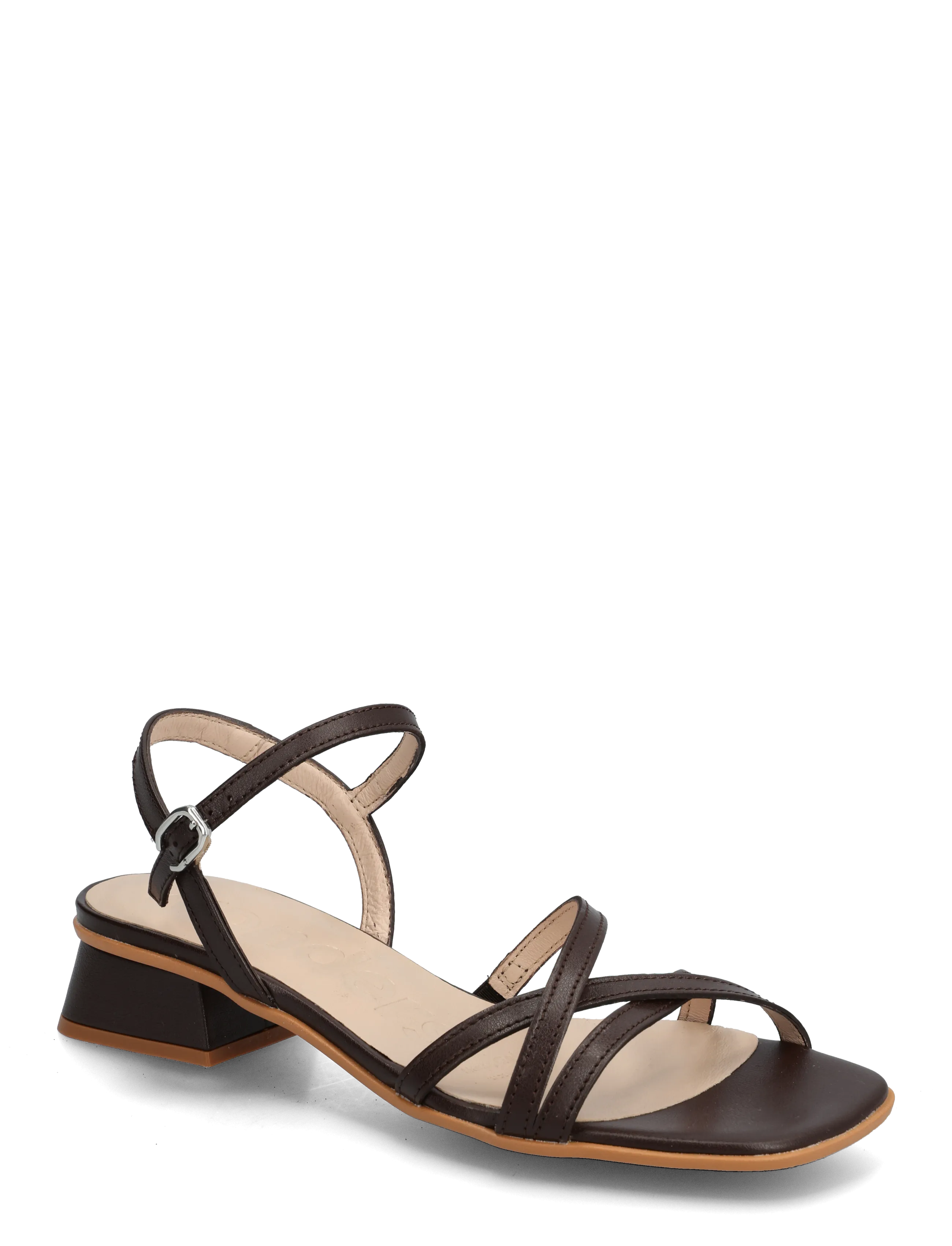 Wonders CALIZA 01 - Festtøj - TESTA / brown