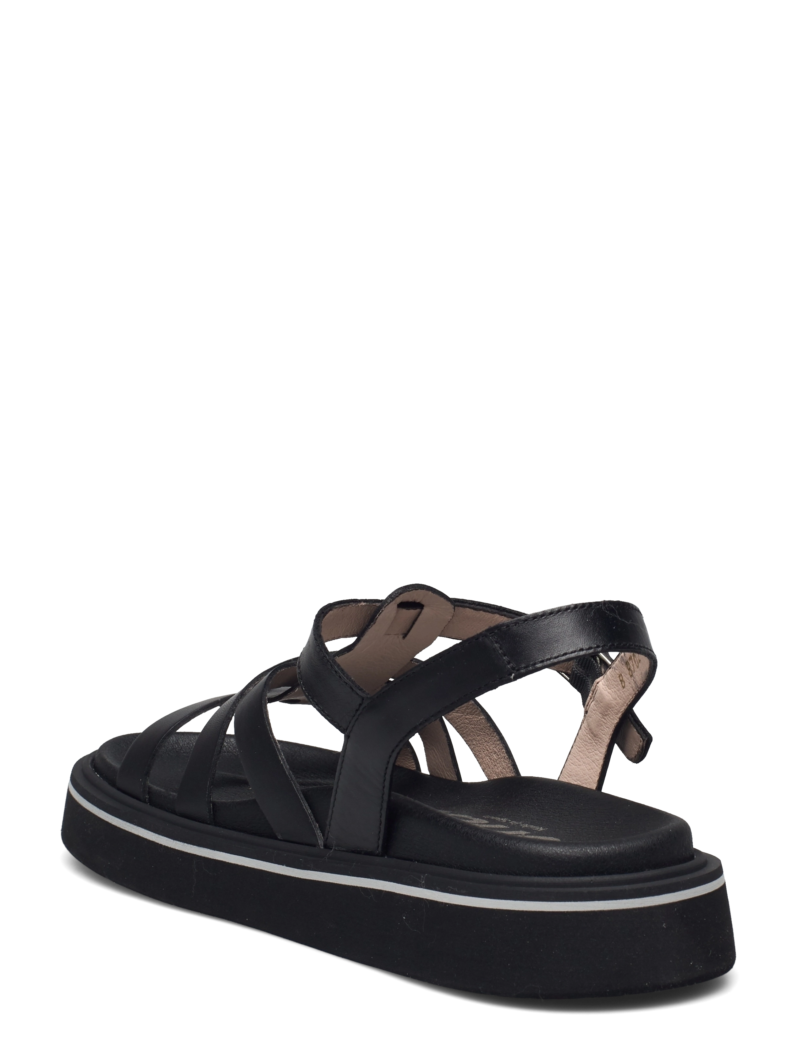Wonders - B-8702 PERGAMENA - black - 2