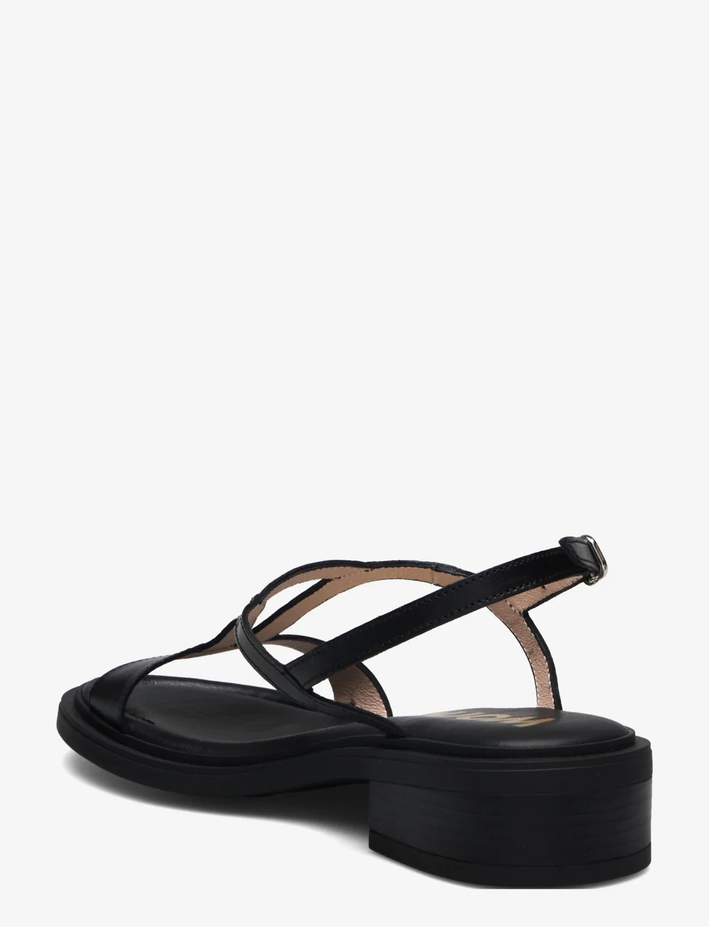 Wonders - ANAHÍ - matalat sandaalit - negro - 2